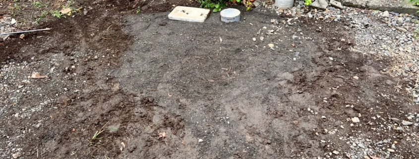 排水枡交換工事完了後に整地された屋外地盤の状態